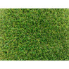 Césped Artificial 20mm Grecia 2x10 m | Ideal para Niños y Mascotas