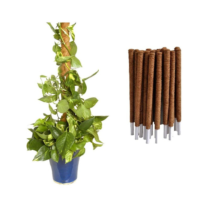 Tutor Fibra de Coco 120 cm (Pack 5 U) | Crecimiento Trepador Perfecto
