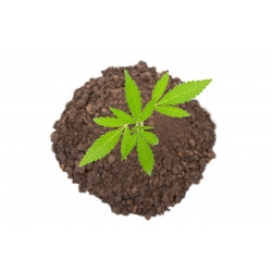Sustrato Universal Cannabis 50L | Cultivo sano y de calidad