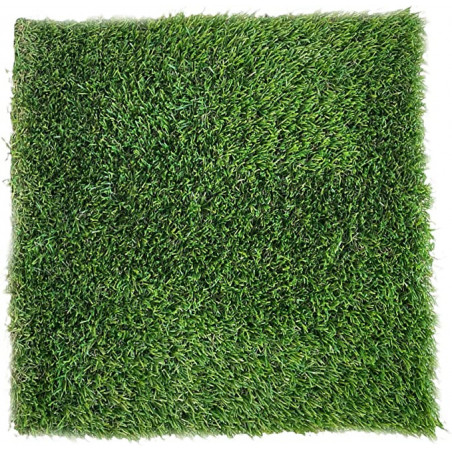 Césped Artificial 25mm Brasil 2x5 m | Suavidad y Resistencia