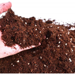 Sustrato Universal Premium 20L | Alta calidad para plantas sanas