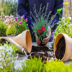 Sustrato Universal Premium 20L | Alta calidad para plantas sanas