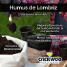 Sustrato Premium HUMUS 20L | Turba Rubia de Sphagnum y Perlita