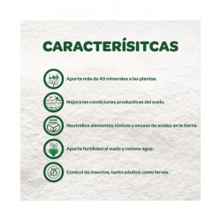 Tierra Diatomea Micronizada 50kg | Insecticida y Fertilizante Natural