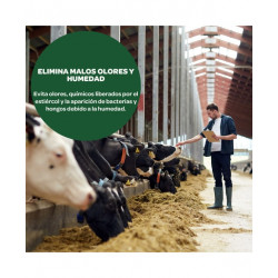 Tierra Diatomea Micronizada 50kg | Insecticida y Fertilizante Natural