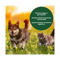 Tierra Diatomea Micronizada 50kg | Insecticida y Fertilizante Natural