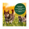 Tierra Diatomea Micronizada 50kg | Insecticida y Fertilizante Natural