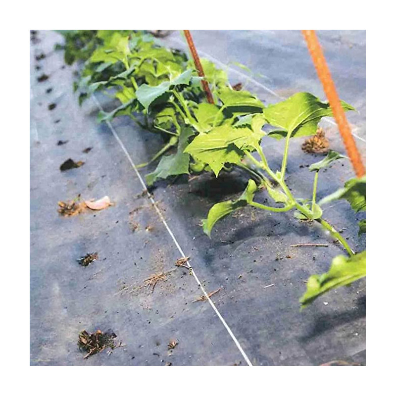 Pack de 4 Mallas Anti-Hierbas de 1x10m 75g | Compactas y Resistentes