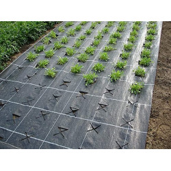 Malla Anti hierba 1x25m de 75g | Compacta y Fácil de Usar