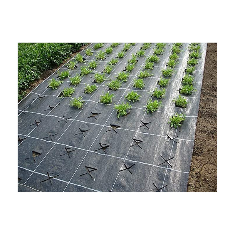 Malla Anti hierba 1x25m de 75g | Compacta y Fácil de Usar