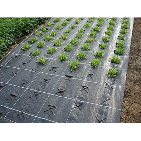 Malla Anti hierba 1x25m de 75g | Compacta y Fácil de Usar