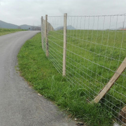 Malla Metálica Ganadera 2x100 m | Resistente y de Alta Calidad
