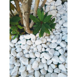 Canto Rodado Blanco 20-40 mm | Saco 25 kg al Mejor Precio