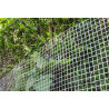 Malla Electrosoldada 19x19mm | Rollo 1x25 MT | Alta Calidad