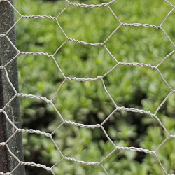 Malla Gallinero 2x50m Hueco 30mm - Cercado para Gallinas y Aves