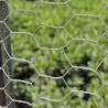 Malla Gallinero 2x50m Hueco 30mm - Cercado para Gallinas y Aves