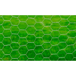 Malla Gallinero 2x50 Hueco 13MM | Calidad al Mejor Precio en Sevilla