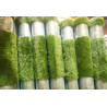 Césped Artificial 40mm Kenia 2x10 m | Suave, Confortable y Económico